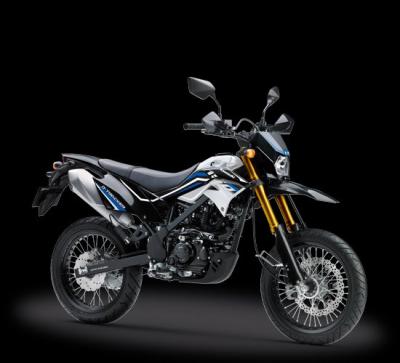 KAWASAKI D-TRACKER 150 phượt thủ phong trần