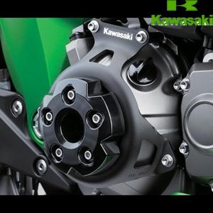 KIT-ACCESSORY,ENGINE GUARD Z - Z800