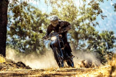 KLX250 Camo