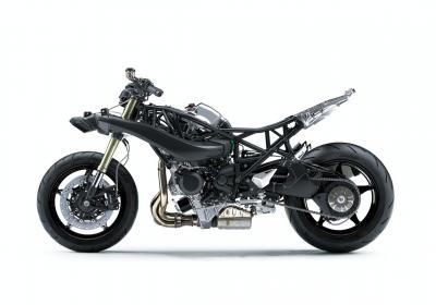 Ninja H2 SX
