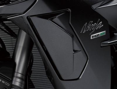 Ninja H2 SX