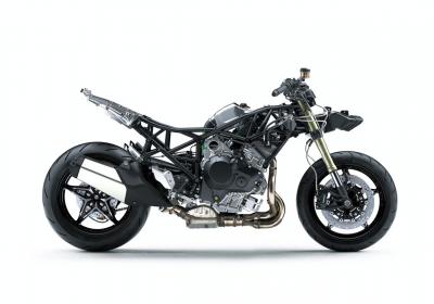 Ninja H2 SX