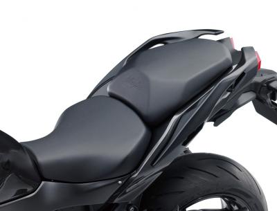 Ninja H2 SX