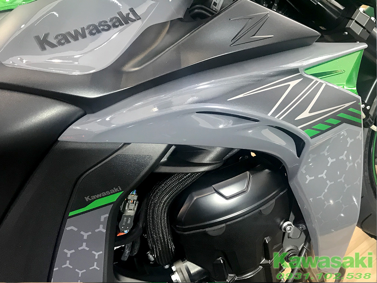 tem Z1000R 2019